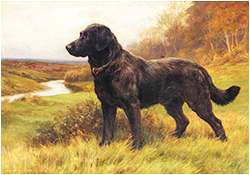 Herbert Thomas Dicksee - On Alert, a Black Labrador