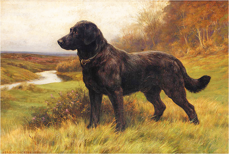 Herbert Thomas Dicksee - On Alert, a Black Labrador