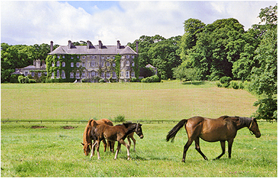 Mount Juliet, Co. Kilkenny, Ireland.