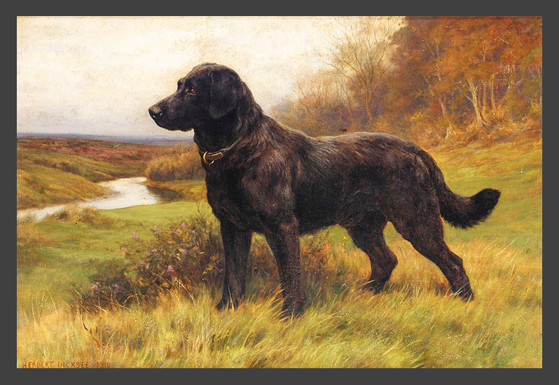 Herbert Thomas Dicksee - On Alert, a Black Labrador