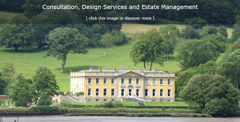 Realty Consultation, Design Services & Estate Management