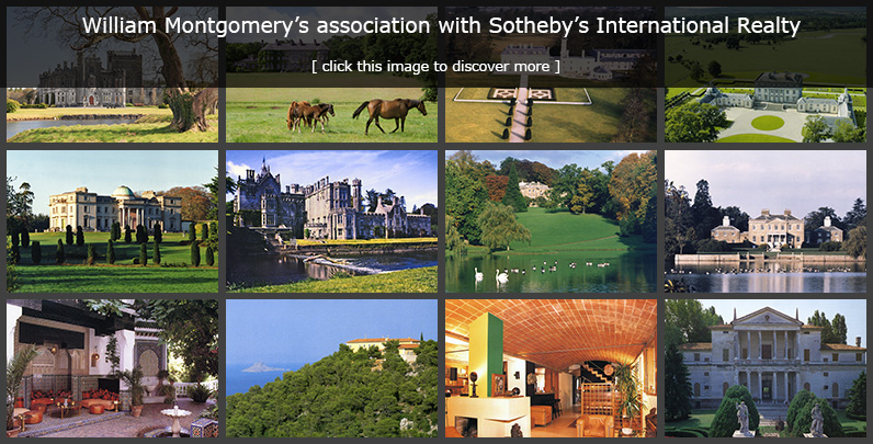 Sotheby's International Realty